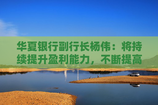 华夏银行副行长杨伟：将持续提升盈利能力，不断提高分红水平