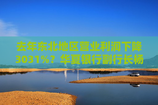 去年东北地区营业利润下降3031%？华夏银行副行长杨伟：加大了该地区不良资产处置力度