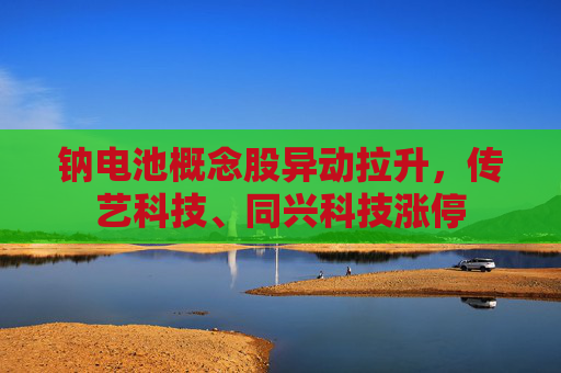 钠电池概念股异动拉升，传艺科技、同兴科技涨停  第1张