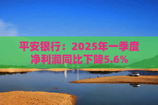 平安银行：2025年一季度净利润同比下降5.6%  第1张