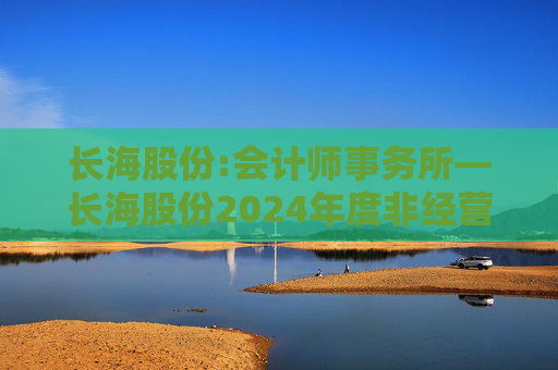 长海股份:会计师事务所―长海股份2024年度非经营性资金占用及其他关联资金往来情况的专项审计说明  第1张