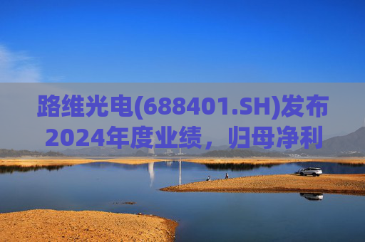 路维光电(688401.SH)发布2024年度业绩，归母净利润1.91亿元，同比增长28.27%