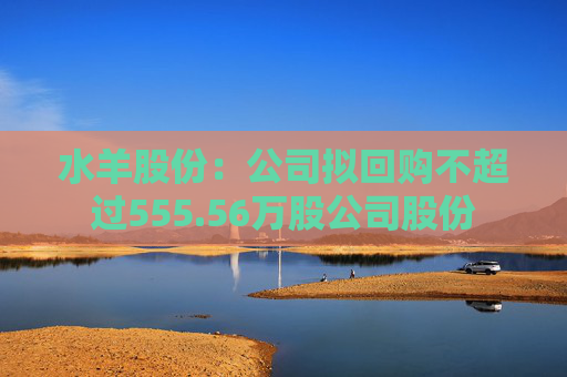 水羊股份：公司拟回购不超过555.56万股公司股份  第1张