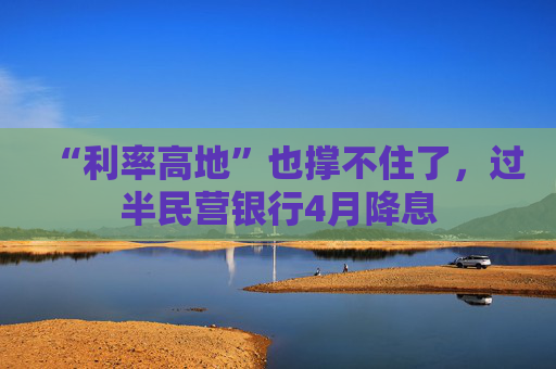 “利率高地”也撑不住了，过半民营银行4月降息  第1张