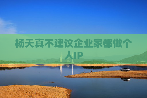 杨天真不建议企业家都做个人IP