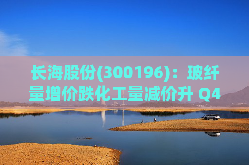 长海股份(300196)：玻纤量增价跌化工量减价升 Q4业绩同比显著修复  第1张