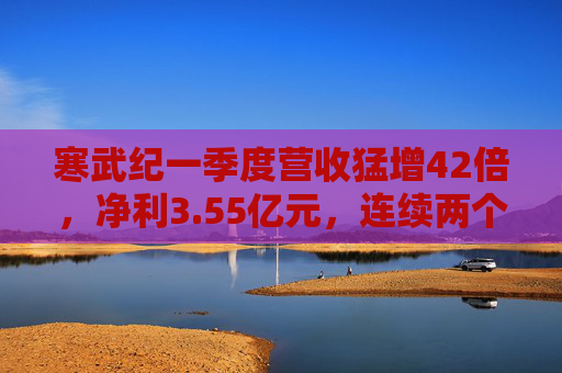 寒武纪一季度营收猛增42倍，净利3.55亿元，连续两个季度盈利