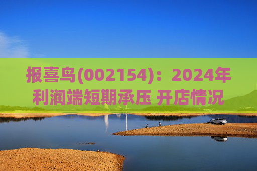 报喜鸟(002154)：2024年利润端短期承压 开店情况符合预期