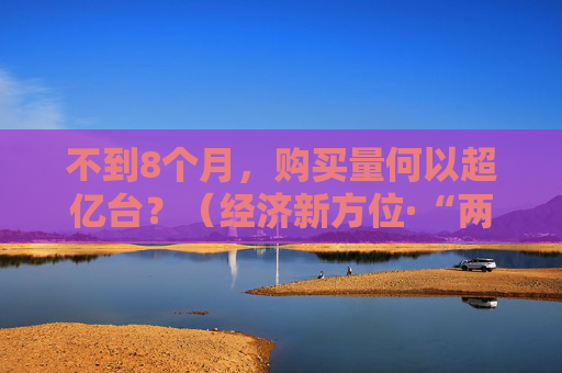 不到8个月，购买量何以超亿台？（经济新方位·“两新”政策发力显效）
