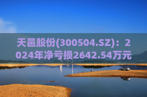 天邑股份(300504.SZ)：2024年净亏损2642.54万元