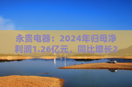 永贵电器：2024年归母净利润1.26亿元，同比增长24.47%  第1张