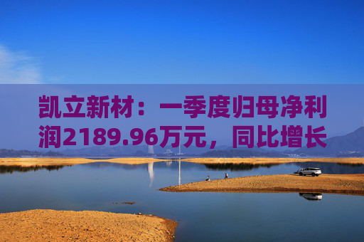 凯立新材：一季度归母净利润2189.96万元，同比增长90.48%  第1张