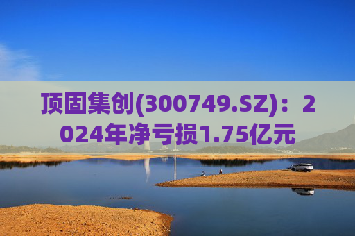 顶固集创(300749.SZ)：2024年净亏损1.75亿元  第1张