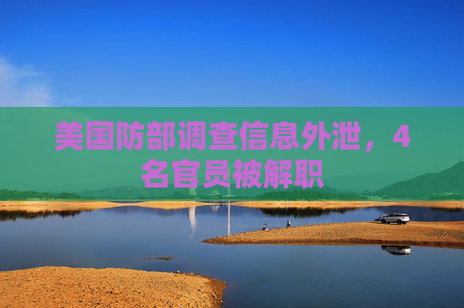 美国防部调查信息外泄，4名官员被解职