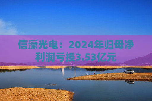信濠光电：2024年归母净利润亏损3.53亿元  第1张