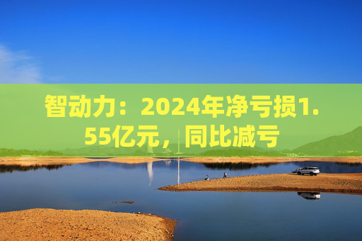 智动力：2024年净亏损1.55亿元，同比减亏  第1张