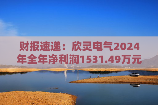 财报速递：欣灵电气2024年全年净利润1531.49万元  第1张
