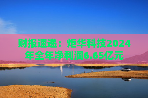 财报速递：炬华科技2024年全年净利润6.65亿元