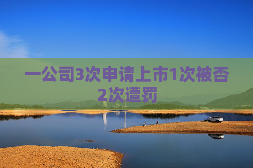 一公司3次申请上市1次被否2次遭罚
