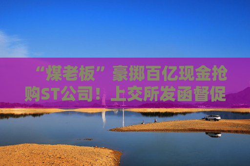 “煤老板”豪掷百亿现金抢购ST公司！上交所发函督促信披义务