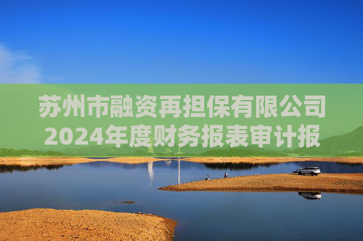 苏州市融资再担保有限公司2024年度财务报表审计报告（担保人财务报告）