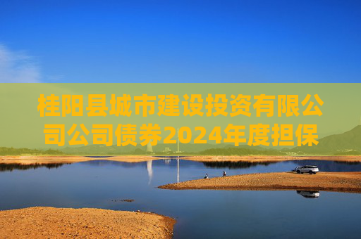 桂阳县城市建设投资有限公司公司债券2024年度担保人财务报告及附注（重庆三峡融资担保集团股份有限公司）  第1张