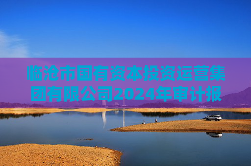 临沧市国有资本投资运营集团有限公司2024年审计报告