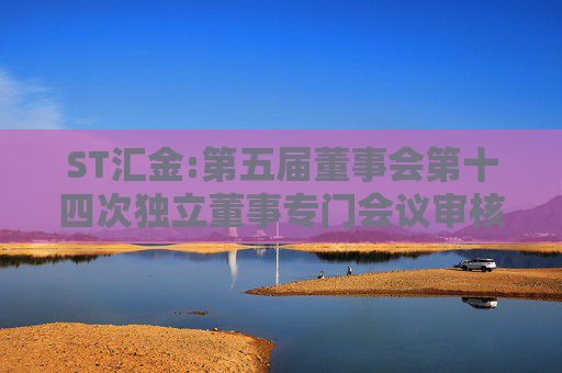 ST汇金:第五届董事会第十四次独立董事专门会议审核意见