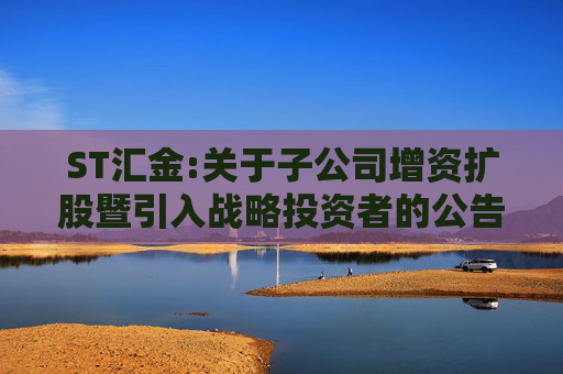 ST汇金:关于子公司增资扩股暨引入战略投资者的公告  第1张