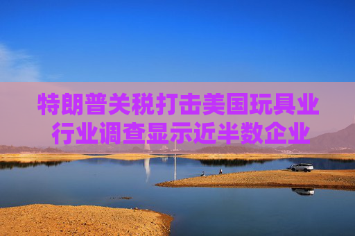 特朗普关税打击美国玩具业 行业调查显示近半数企业警告破产风险  第1张
