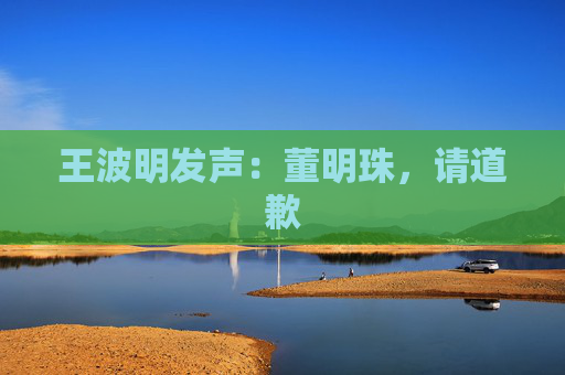 王波明发声：董明珠，请道歉  第1张