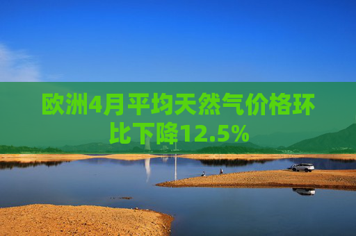 欧洲4月平均天然气价格环比下降12.5%  第1张