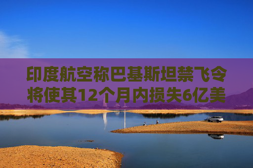 印度航空称巴基斯坦禁飞令将使其12个月内损失6亿美元  第1张