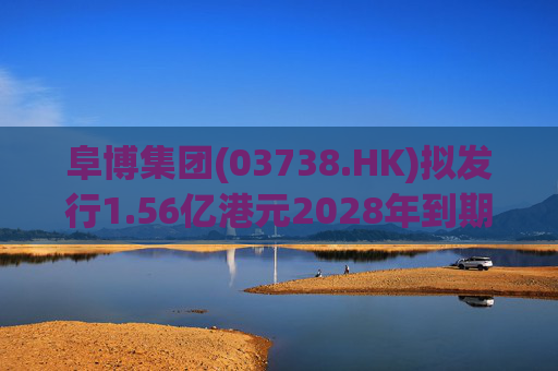 阜博集团(03738.HK)拟发行1.56亿港元2028年到期零息可换股债券  第1张