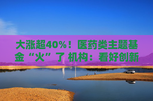 大涨超40%！医药类主题基金“火”了 机构：看好创新药投资机会  第1张