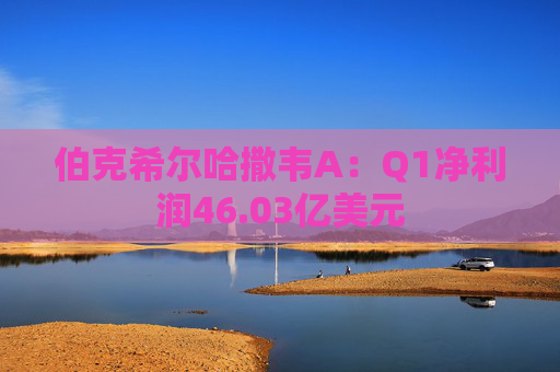 伯克希尔哈撒韦A：Q1净利润46.03亿美元