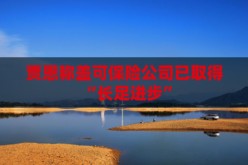 贾恩称盖可保险公司已取得 “长足进步”