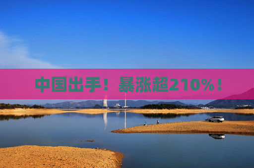 中国出手！暴涨超210%！