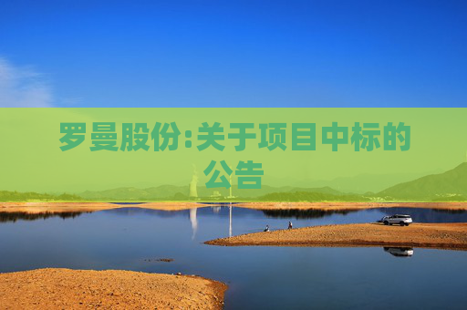 罗曼股份:关于项目中标的公告