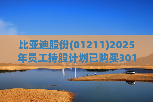 比亚迪股份(01211)2025年员工持股计划已购买301.2万股A股