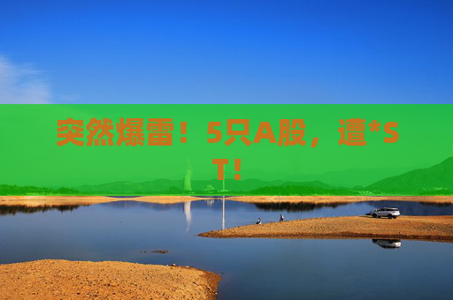 突然爆雷！5只A股，遭*ST！  第1张