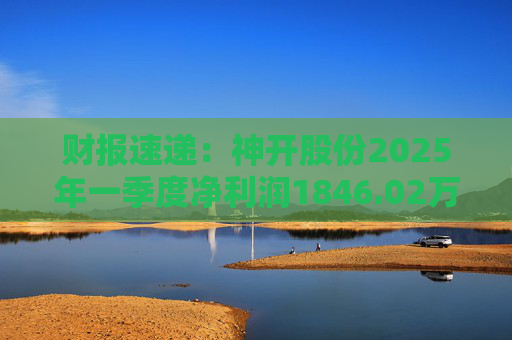 财报速递：神开股份2025年一季度净利润1846.02万元  第1张
