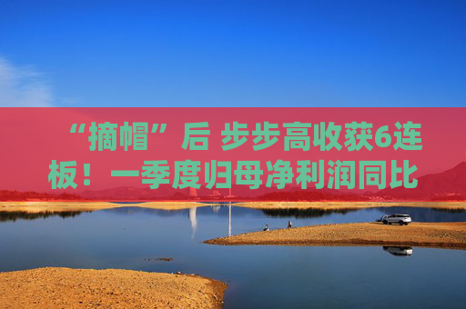 “摘帽”后 步步高收获6连板！一季度归母净利润同比增长近5倍  第1张