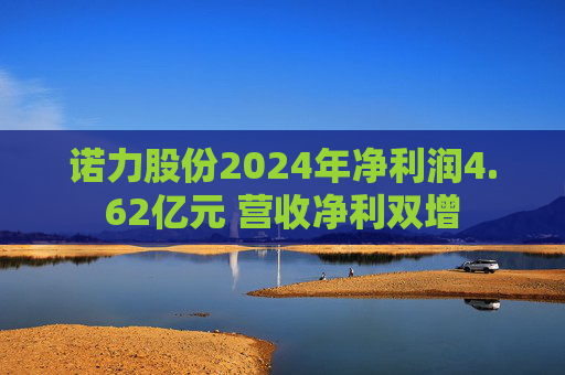 诺力股份2024年净利润4.62亿元 营收净利双增