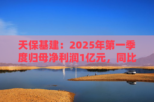 天保基建：2025年第一季度归母净利润1亿元，同比增长737.29%