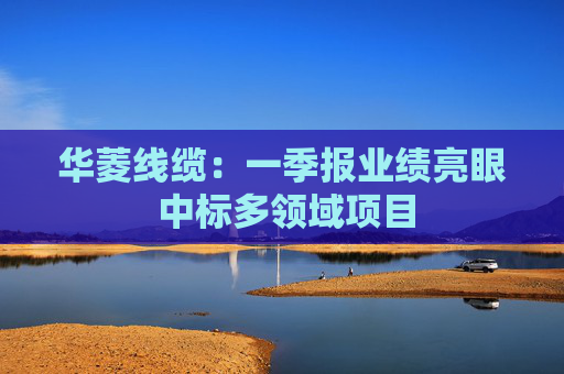 华菱线缆：一季报业绩亮眼 中标多领域项目  第1张