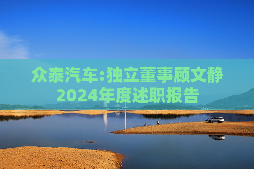 众泰汽车:独立董事顾文静2024年度述职报告