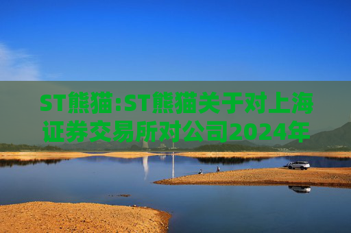 ST熊猫:ST熊猫关于对上海证券交易所对公司2024年度业绩预告相关事项监管工作函的回复公告