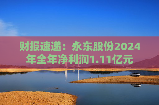 财报速递：永东股份2024年全年净利润1.11亿元  第1张