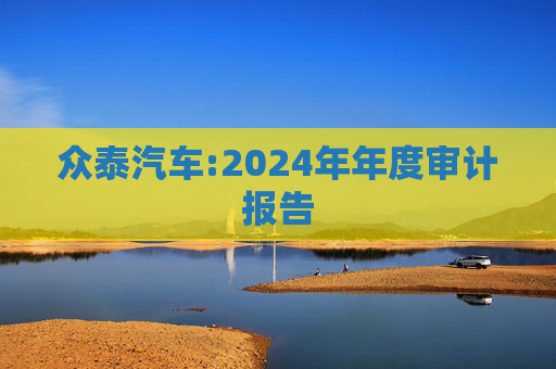 众泰汽车:2024年年度审计报告